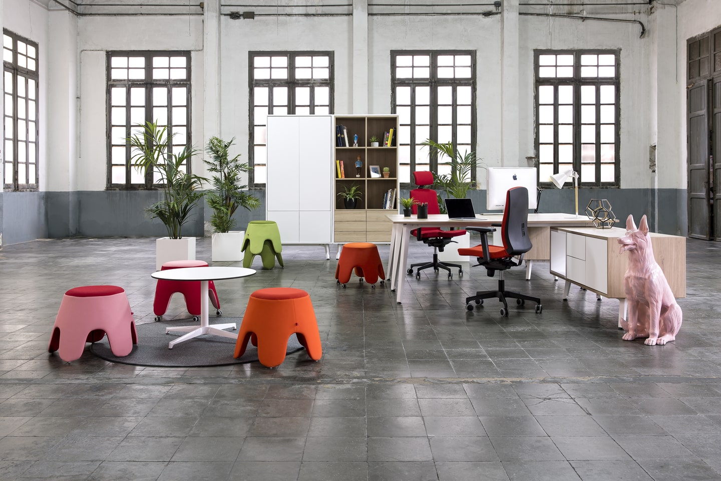 _C9A2692 - copia-min